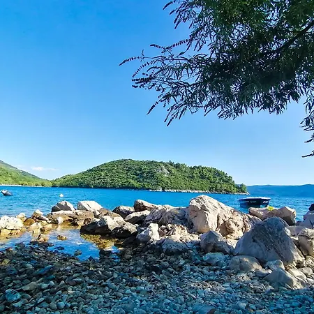 Dolani