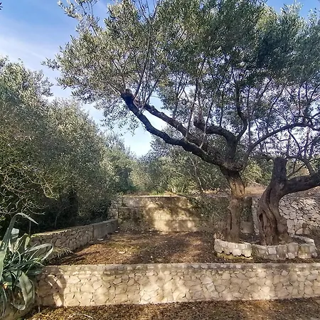 Dolani Klek