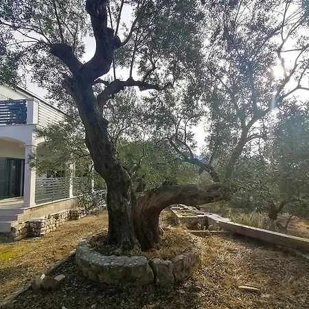 Dolani Klek