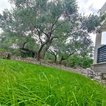 Dolani *