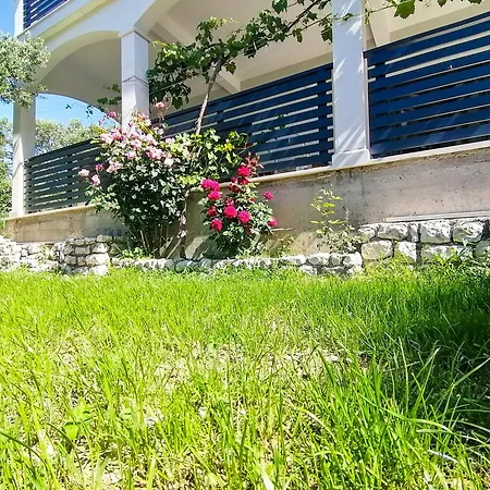 Dolani *